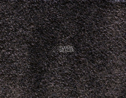 Ковролин Radici Lord Antracite 142C фото 1 | FLOORDEALER